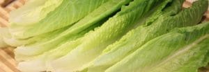 Romaine lettuce for lettuce wrap tacos.
